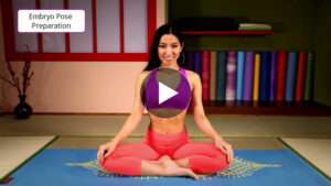 A-16- Embryo pose preparation