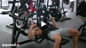 Leverage Chest Press