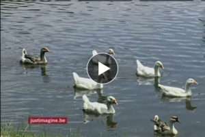 E10 Gags on you Part 5