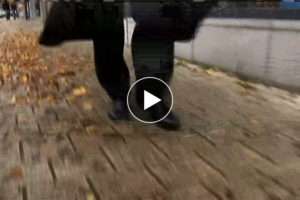 F40 Gags On You Part 6