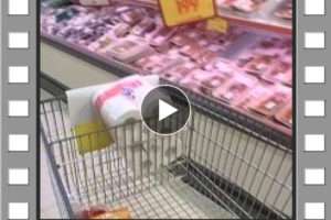 Little Girl Shopping Cart Part 1