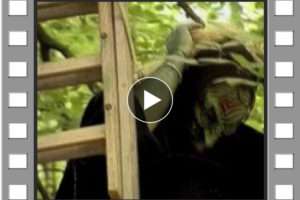 Witch In The Forest Part 1
