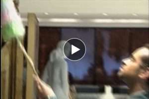 Zealous Cleaner Part 1